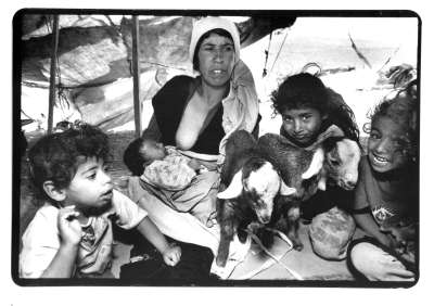 Bedouin Family in a Tent, Judean Hills, Israel